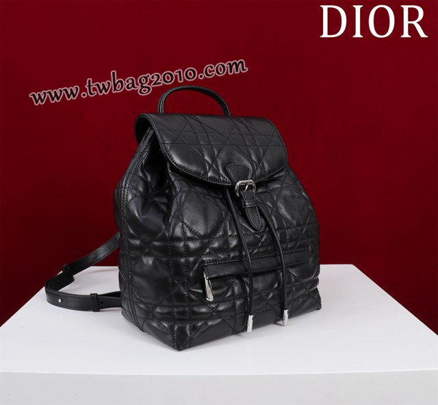 Dior专柜新款迪奥高仿原单女士双肩背包D007-006 djfk1594